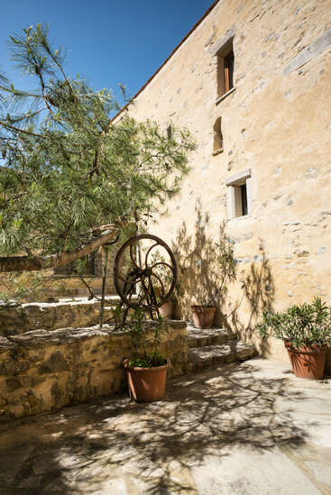 Patio iluminado por el sol con un rústico muro de piedra, plantas en macetas y un frondoso árbol. Las sombras bailan en el suelo. Una vieja rueda metálica crea un encanto vintage.