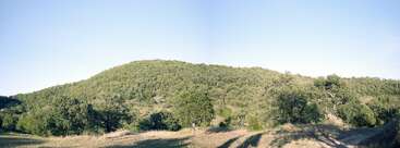Esta imagen muestra una colina de suave pendiente cubierta de frondosos árboles verdes bajo un cielo azul despejado. El primer plano presenta hierba y arbustos dispersos, creando un paisaje tranquilo.