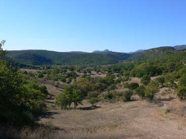 La imagen representa un paisaje sereno con colinas onduladas, árboles y un cielo azul despejado, con una cordillera lejana bajo un cielo despejado.