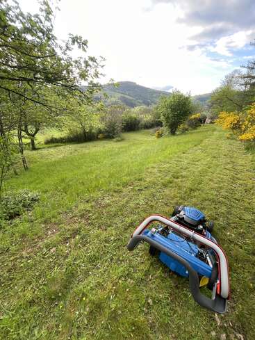 Une tondeuse bleue est posée sur une colline recouverte d'herbe fraîchement tondue, entourée d'arbres verts et de buissons aux fleurs jaunes, sous un ciel partiellement nuageux et avec des collines au loin.