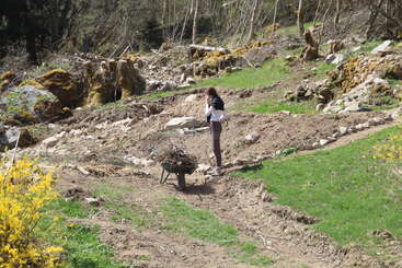 Une femme se tient en plein air sur un chemin de terre, à côté d'une brouette remplie de bâtons, entourée de pierres, de verdure et de quelques plantes à fleurs jaunes.