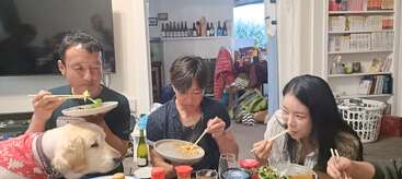 Three people are eating dinner with chopsticks at a cozy home, while a curious dog wearing a red bandana watches them closely from the table.
