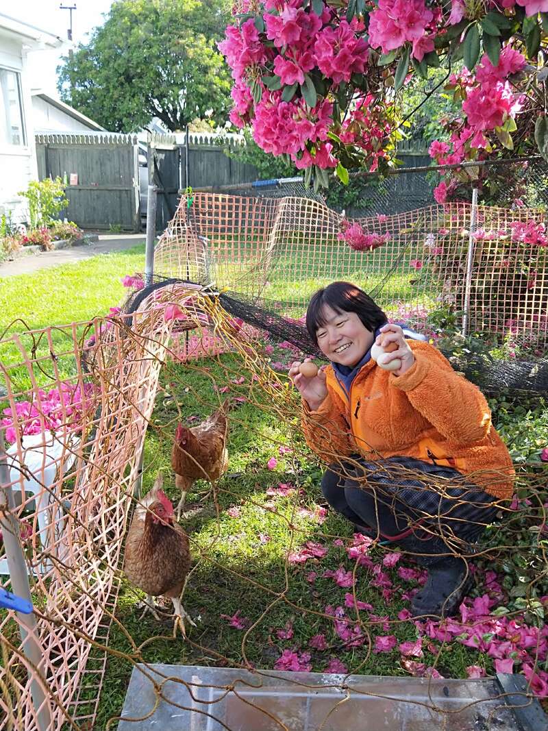 Una persona sonriente con chaqueta naranja se agacha en un jardín lleno de flores, sosteniendo huevos recién puestos, rodeada de gallinas dentro de un recinto de malla bajo florecientes flores rosas.