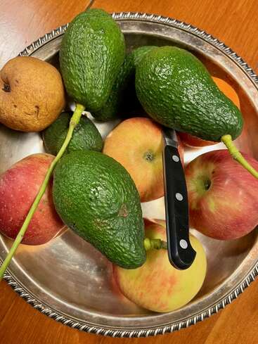 In einer Metallschüssel liegen Avocados, Äpfel und eine braune Birne. Ein Messer mit schwarzem Griff ruht auf dem Obst. Ein Holztisch im Hintergrund verleiht der Szene Wärme.