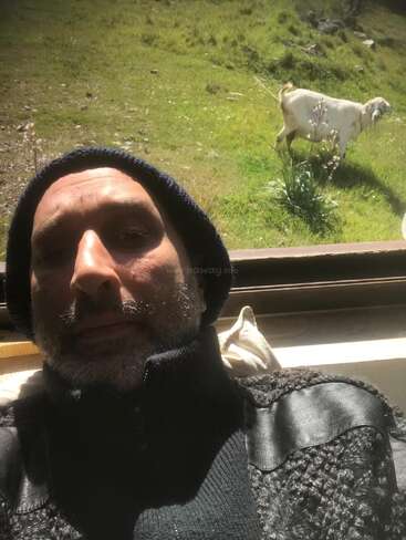 A man wearing a knit hat and sweater takes a selfie indoors while sunlight streams in. Outside the window, a white goat grazes on green grass.