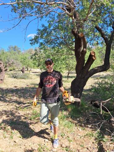 A man stands outdoors in a sunny, wooded area holding a chainsaw. He wears a cap, sunglasses, gloves, and casual clothes. Trees and blue sky surround him.