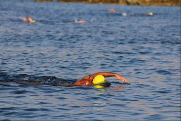 Several swimmers wearing yellow swim caps compete in an open water swimming event. The foreground swimmer strokes forward, with others dispersed in the distant blue water.