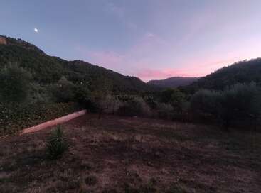 The image shows a tranquil landscape at dusk, with a grassy field, scattered trees, surrounding hills, a crescent moon, and a softly colored pink sky.