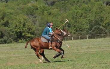 La imagen representa a dos personas montando a caballo, probablemente en un partido de polo, con los jinetes vestidos de etiqueta y los caballos adornados con sillas y bridas.