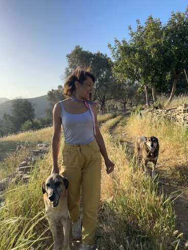 A woman in yellow pants and a white top walks outdoors on a grassy path, smiling, accompanied by two dogs on a sunny day amidst trees.