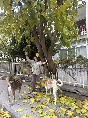 Una mujer posa alegremente bajo un gran árbol, lanzando al aire hojas caídas mientras sostiene a dos perros con correas. La escena captura un divertido día de otoño al aire libre.