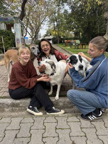 Tres amigos están sentados en un bordillo al aire libre, sonriendo y acariciando a tres perros grandes y felices. Al fondo se ven árboles, bancos y un pequeño edificio.