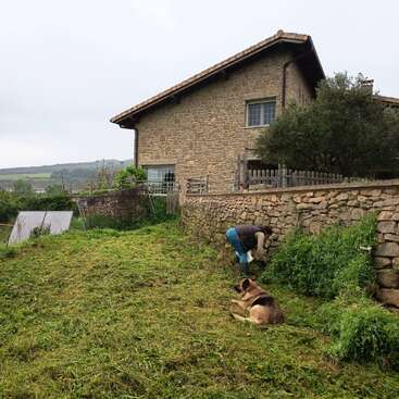 Une personne désherbe le long d'un mur de pierre près d'une maison rustique, tandis qu'un chien est couché à proximité et qu'une autre personne s'affaire dans le jardin envahi par la végétation, sous un ciel nuageux.