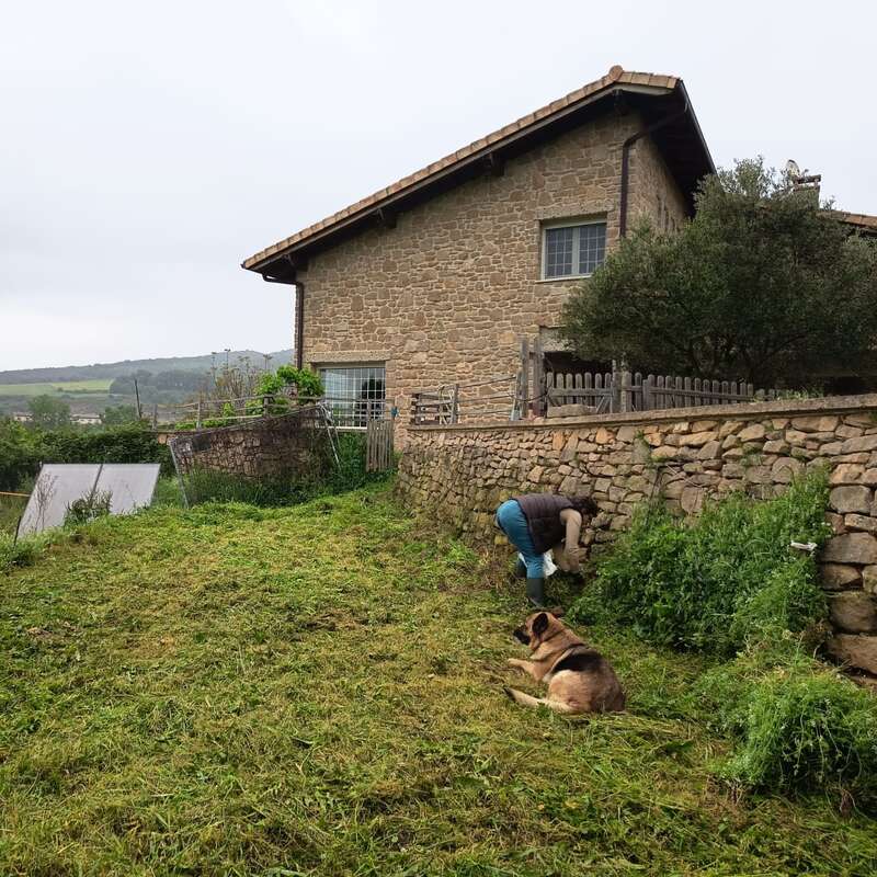 Une personne désherbe le long d'un mur de pierre près d'une maison rustique, tandis qu'un chien est couché à proximité et qu'une autre personne s'affaire dans le jardin envahi par la végétation, sous un ciel nuageux.