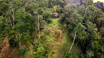 An aerial view of a small wooden cabin hidden among dense, lush green forest. Tall trees surround the clearing, creating a secluded, tranquil, nature-filled retreat.