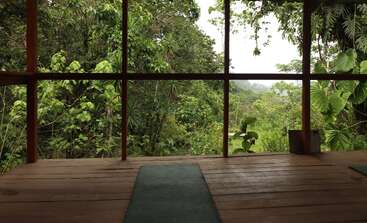 A wooden deck with yoga mats overlooks lush, dense green jungle foliage through large glass windows, creating a peaceful, natural, and serene retreat environment for relaxation.