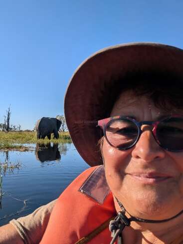 A woman in a hat and orange life vest smiles, taking a selfie on water. An elephant stands on grassy land behind her under a clear blue sky.