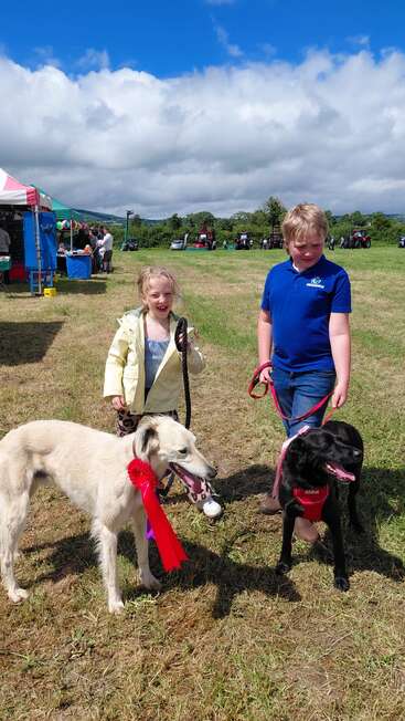 Two children proudly display their dogs at an outdoor fair. One dog wears a red winners’ ribbon. Colorful tents, tractors, and green fields create a lively backdrop.