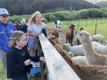 Two children and an adult feed friendly alpacas over a wooden fence on a farm. The background shows lush green fields, trees, and distant hills.