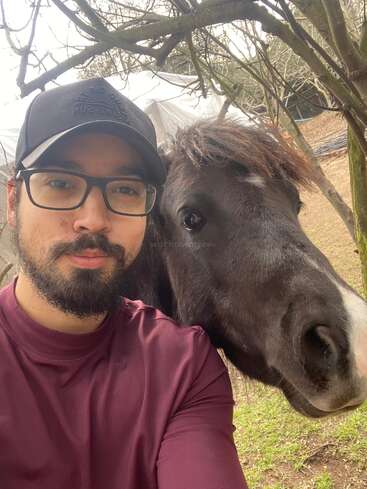 A man wearing glasses and a black cap poses for a selfie with a friendly black horse outdoors, surrounded by trees and a natural setting.