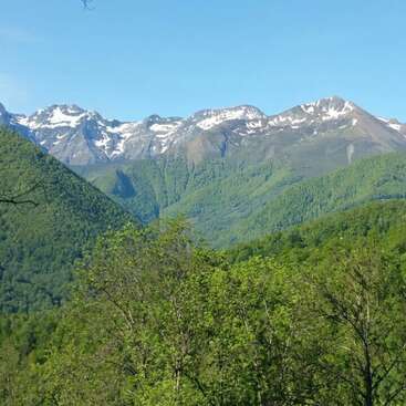 A imagem mostra uma serena cadeia de montanhas com picos cobertos de neve, em um céu azul claro e uma vegetação exuberante em primeiro plano.