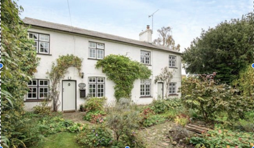 This image shows a charming white cottage with lush green plants climbing its walls, surrounded by a vibrant garden and trees, under a bright blue sky.