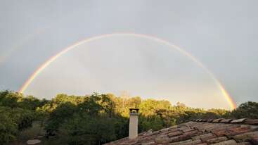 Ein leuchtender Regenbogen wölbt sich anmutig über eine üppig grüne Baumreihe unter einem bewölkten Himmel. Im Vordergrund sind Dachziegel und ein weißer Schornstein zu sehen, die die Gelassenheit der Szene unterstreichen.