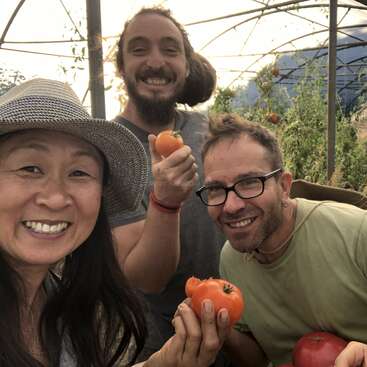 Três pessoas sorridentes numa estufa seguram tomates frescos. O clima é alegre e acolhedor, demonstrando o prazer compartilhado pela jardinagem e pelos produtos frescos cultivados em casa.