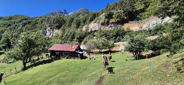 Eine rustikale Hütte mit rotem Dach steht auf einer üppig grünen Wiese, umgeben von Bäumen, Bergen, spazierenden Menschen und einem Hund unter strahlend blauem Himmel.