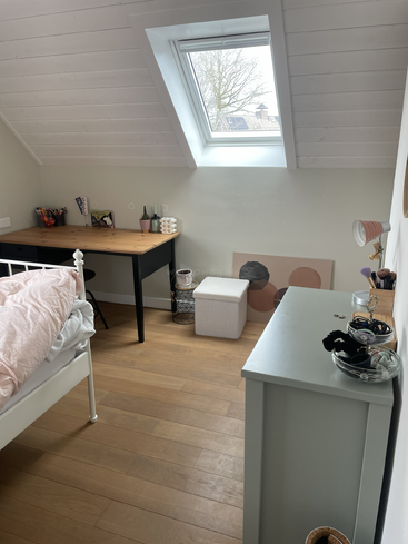 A cozy attic room with a skylight, bed, desk, dresser, and soft pink bedding. Decor includes plants, art, and organized accessories, creating a welcoming atmosphere.