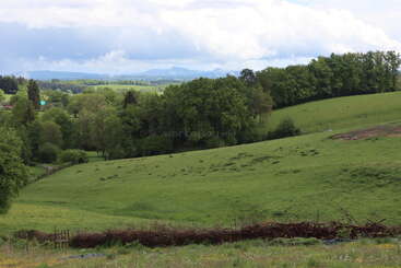 Des collines verdoyantes et vallonnées, parsemées de bosquets, des montagnes lointaines sous un ciel nuageux et une petite clôture rustique au premier plan composent un paysage champêtre paisible.