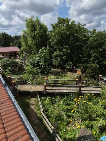 Um jardim exuberante está cheio de várias plantas verdes, flores amarelas vibrantes, uma ponte de madeira, árvores e uma cabana, tudo sob um céu parcialmente nublado.