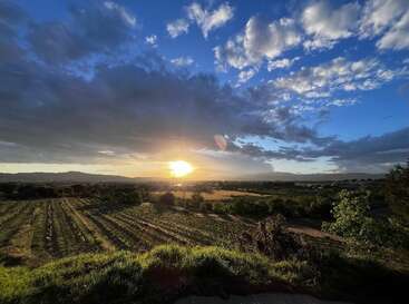 The image shows a scenic landscape at sunset, with fields and rows of crops below, dramatic clouds in the blue sky, and rolling hills in the distance.