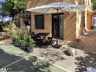 A sunlit patio features a table and chairs under a large umbrella, potted plants, and a small white dog walking near a yellow house. Peaceful atmosphere.