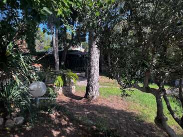 Un jardin paisible et ombragé avec de grands arbres, de l'herbe verte et un feuillage dense. Une lampe ronde, une bordure en pierre et des chemins ensoleillés créent une atmosphère extérieure sereine.