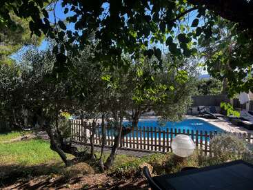 Cette image montre un jardin paisible avec des arbres feuillus, une clôture en bois et une piscine transparente entourée de chaises longues, avec la lumière du soleil qui filtre à travers.
