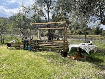 A rustic outdoor setup with a wooden pergola, grill, and table on grassy lawn. Wine bottles, dishes, and a dog resting under the table create coziness.