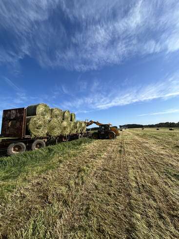 Un tracteur charge de grosses balles de foin rondes sur une remorque rouillée dans un grand champ ouvert, sous un ciel bleu vif avec des nuages épars.