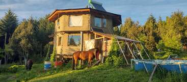 Une maison rustique à deux étages nichée au cœur d'une forêt luxuriante, avec deux chevaux qui paissent à proximité, une piscine hors sol bleue et des tonneaux, le tout baigné par la douce lumière du soleil.