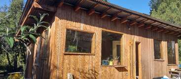 Une petite maison en bois aux grandes fenêtres et au toit en pente se dresse dans un cadre verdoyant et ombragé. La lumière du soleil illumine la façade, créant une atmosphère chaleureuse.