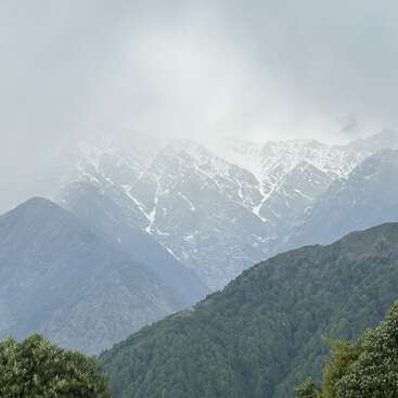 Hinter üppig grünen Hügeln ragen majestätische, schneebedeckte Berge empor, die in neblige Wolken gehüllt sind. Dichte Wälder bedecken die unteren Hänge und schaffen eine ruhige, natürliche Landschaft.