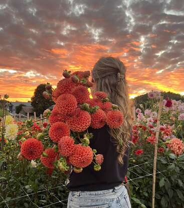 Una mujer con el pelo ondulado está de pie en un campo de flores al atardecer, sosteniendo un gran ramo de dalias naranjas, rodeada de flores vibrantes y nubes dramáticas.