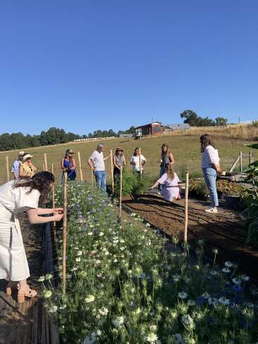 Un grupo de personas se reúne en un jardín soleado, cuidando los parterres. Algunos observan, otros trabajan, rodeados de campos verdes y cielo azul.