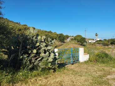 A blue metal gate stands next to a large cactus in a rural area, surrounded by grassy fields, trees, and distant white houses under clear blue skies.