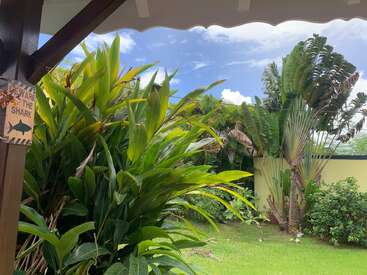 Lush tropical garden with various green plants, a yellow wall, and blue sky. A humorous "Beware the Shark" sign hangs on a wooden post.