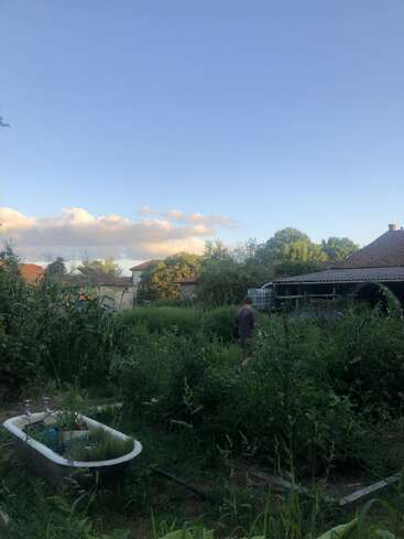 Ein üppiger, verwilderter Garten mit einer alten Badewanne zwischen hohen Pflanzen. Eine Person steht mitten im Grünen. Rustikale Häuser und ein sanfter Abendhimmel machen das ruhige Bild komplett.