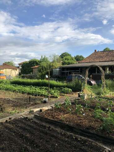 Ein üppiger Gemüsegarten mit ordentlichen Pflanzenreihen liegt vor rustikalen Häusern mit Ziegeldächern, unter einem teilweise bewölkten blauen Himmel und Sonnenschein.