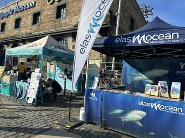 Dos coloridos puestos al aire libre situados cerca del Museo de Olympia están dedicados a la conservación marina y cuentan con pancartas, imágenes de tiburones y pulpos, exposiciones educativas y material informativo sobre la protección de los océanos.