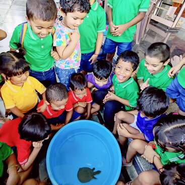 The image shows a group of children gathered around a blue plastic tub containing a turtle, with the children wearing green polo shirts and blue jeans.