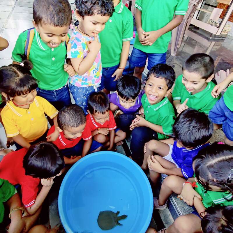 Das Bild zeigt eine Gruppe von Kindern, die sich um eine blaue Plastikwanne mit einer Schildkröte versammelt haben. Die Kinder tragen grüne Poloshirts und blaue Jeans.